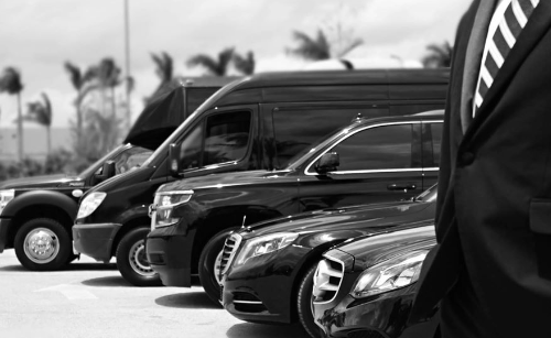 Chauffeur with the fleet